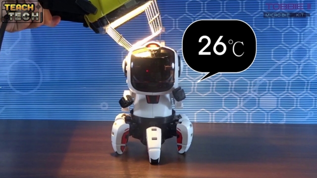 Tobbie II 05 Thermometer