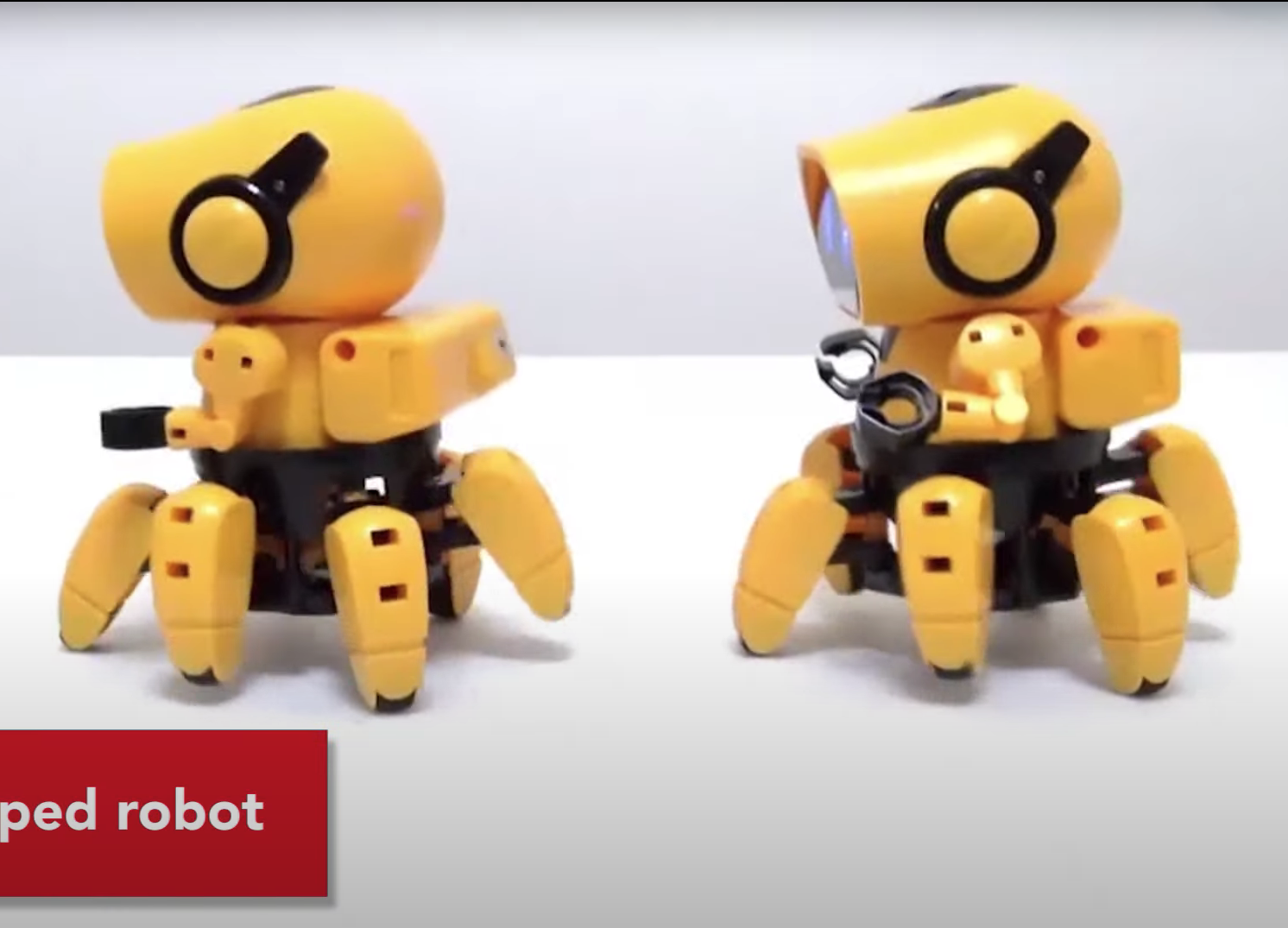 Zivko the robot walking in video
